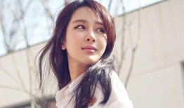 杨紫艾伦最新爆料,揭秘娱乐圈幕后真相