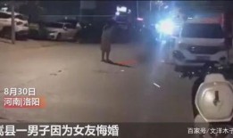 河南嵩县爆料事件视频,真相与争议交织